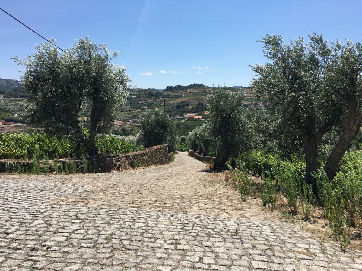 Quinta Do Acipreste Lamego Exteriér fotografie