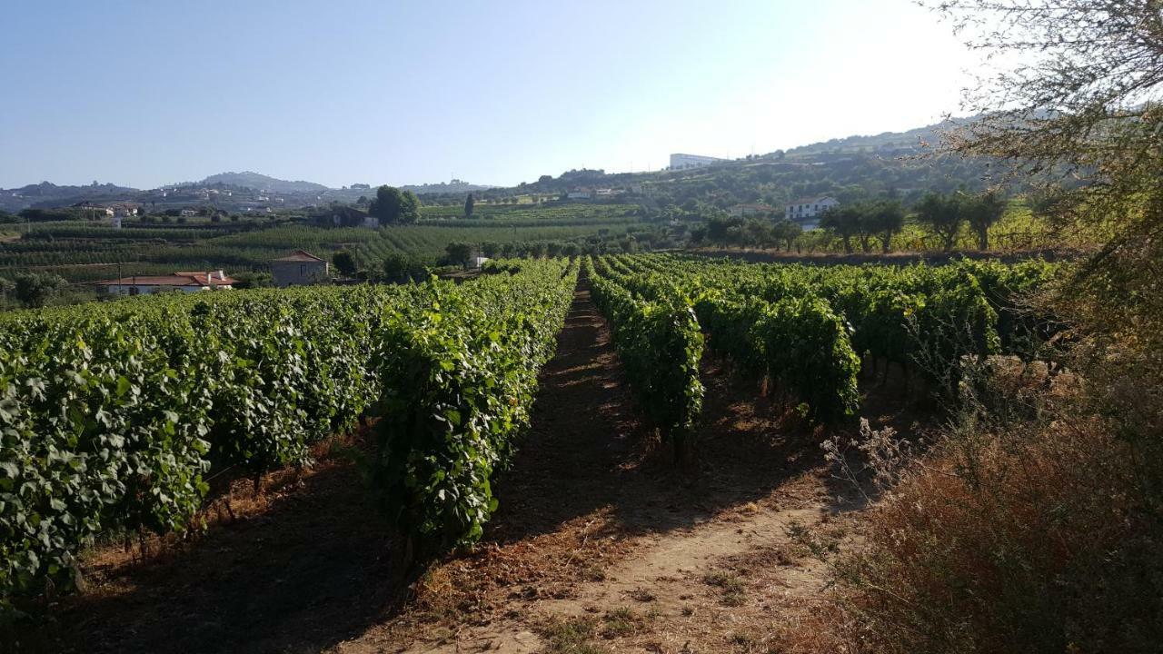 Quinta Do Acipreste Lamego Exteriér fotografie