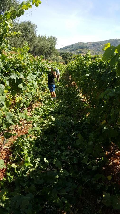 Quinta Do Acipreste Lamego Exteriér fotografie