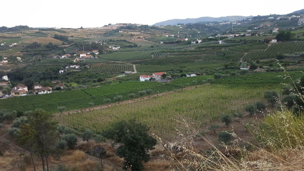 Quinta Do Acipreste Lamego Exteriér fotografie